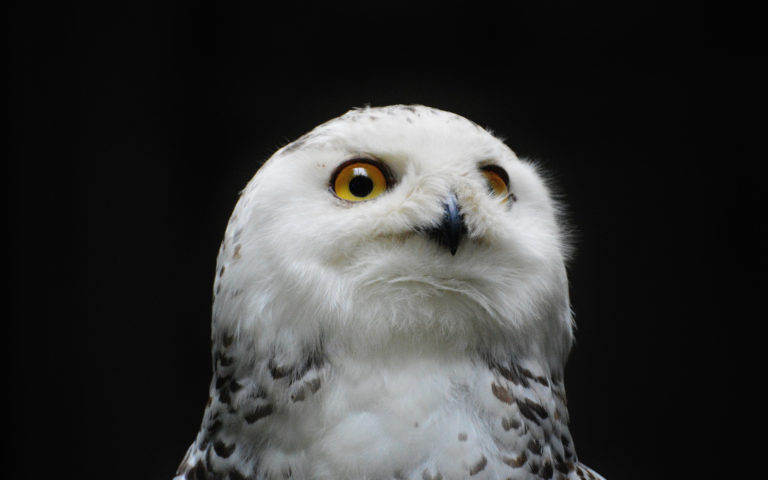 Nocna samotność freelancera